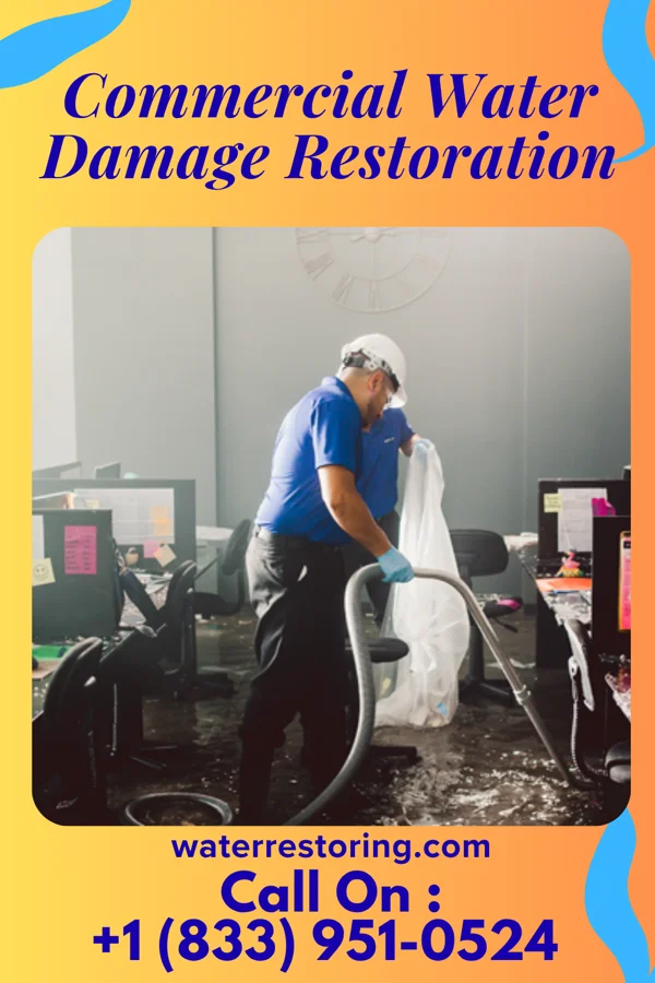 Commercial Water Damage Restoration in Kitsap Lake, WA