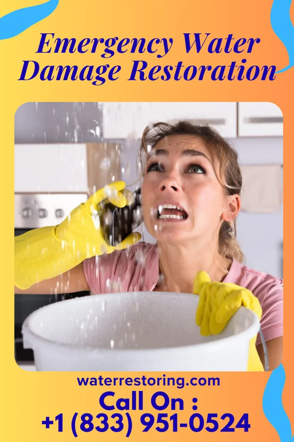 Emergency Water Damage Restoration in Kitsap Lake, WA