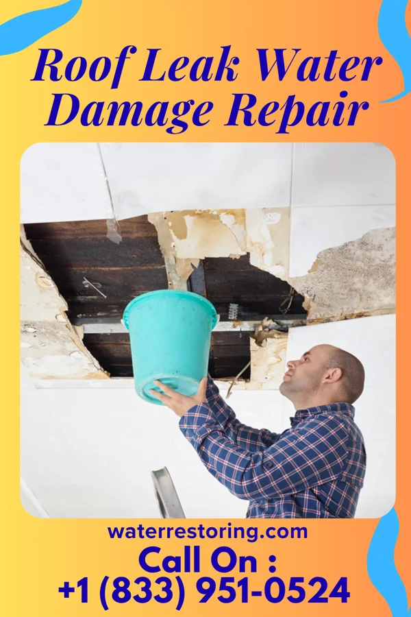 Roof Leak Water Damage Repair in Kitsap Lake, WA