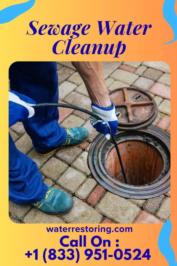 Sewage Water Cleanup in Kitsap Lake, WA
